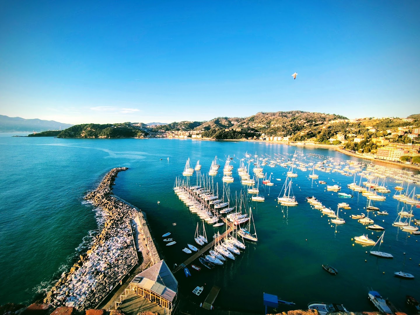 La Perla Lerici | Non solo Bar, Lerici