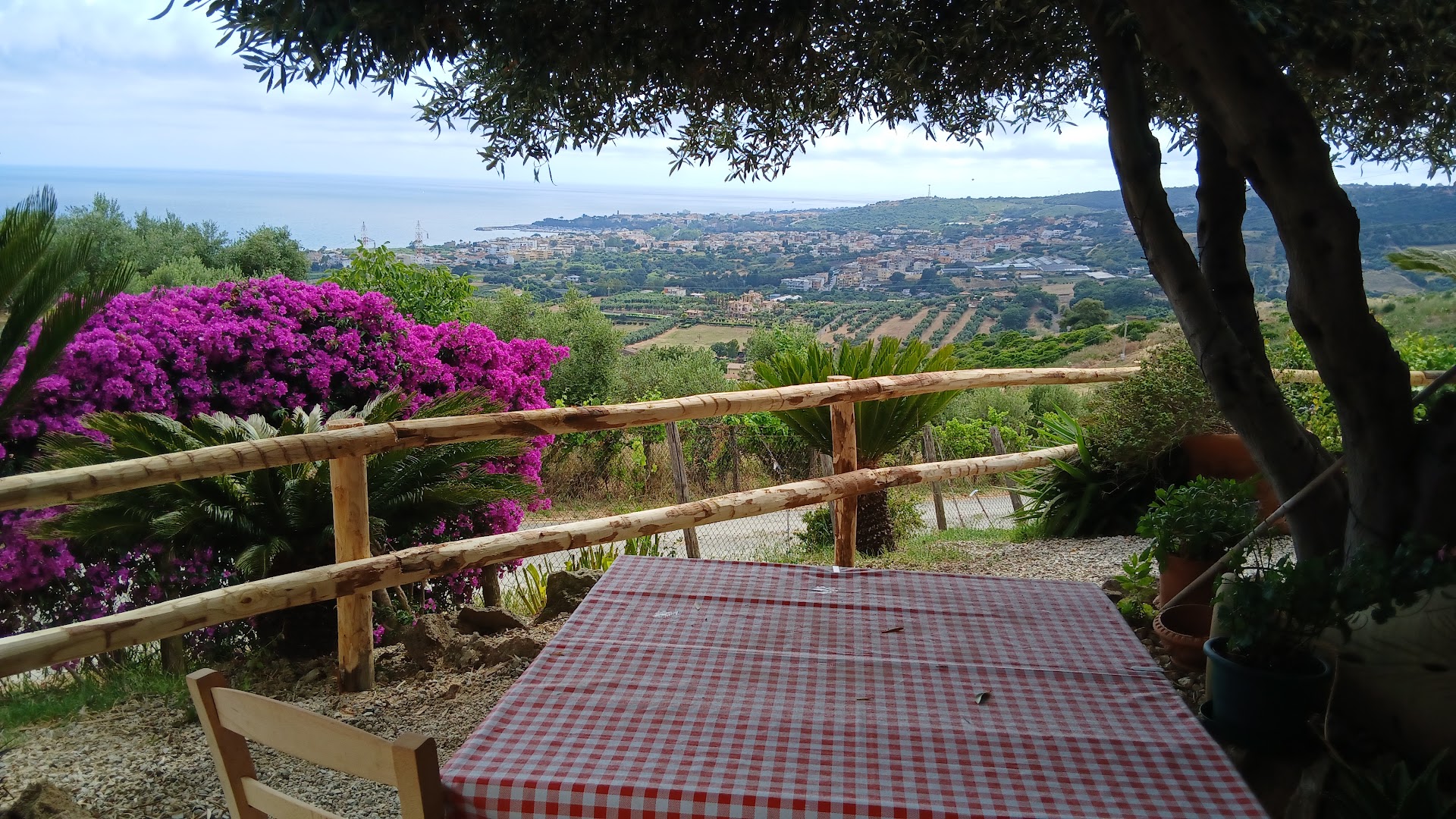 La Perla Verde Braceria Pizzeria