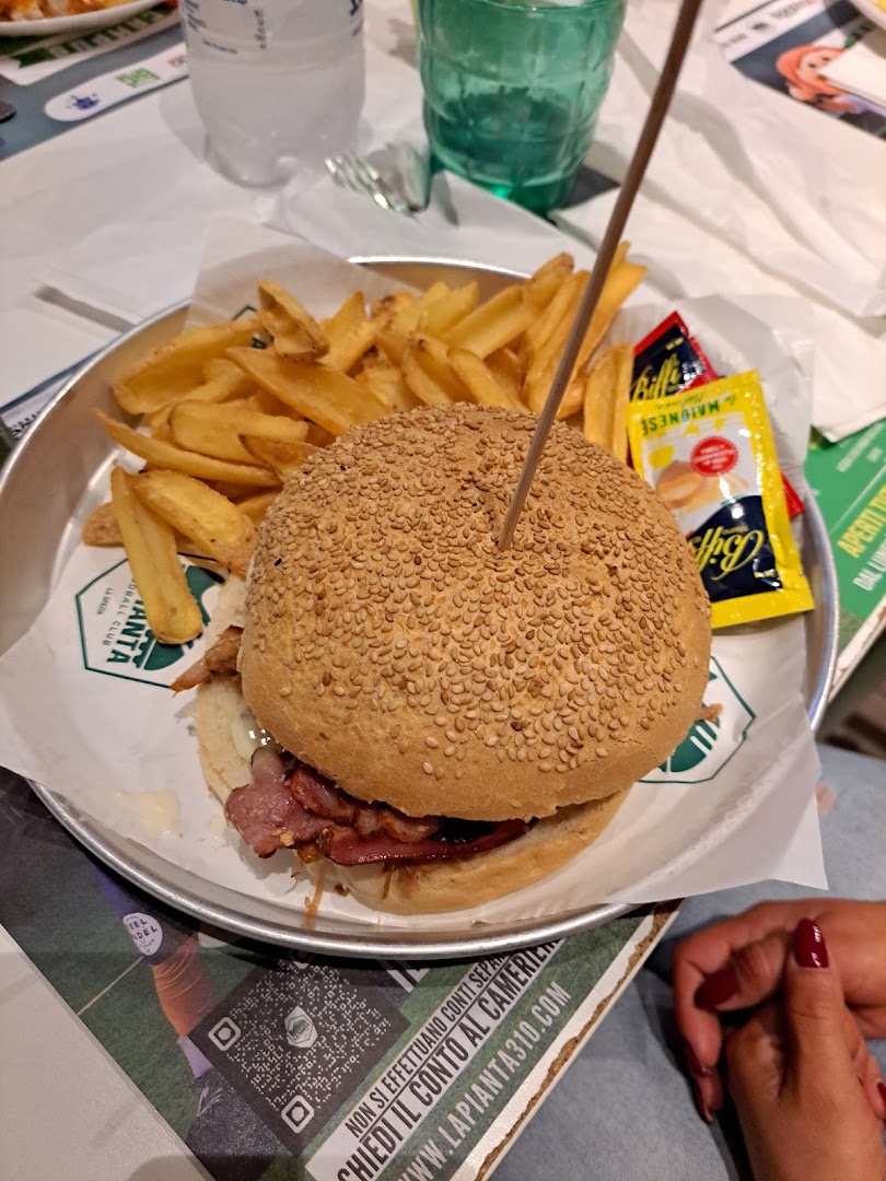 LA PIANTA 310