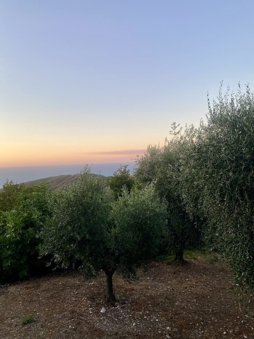 La Pignata Ristorante Pizzeria