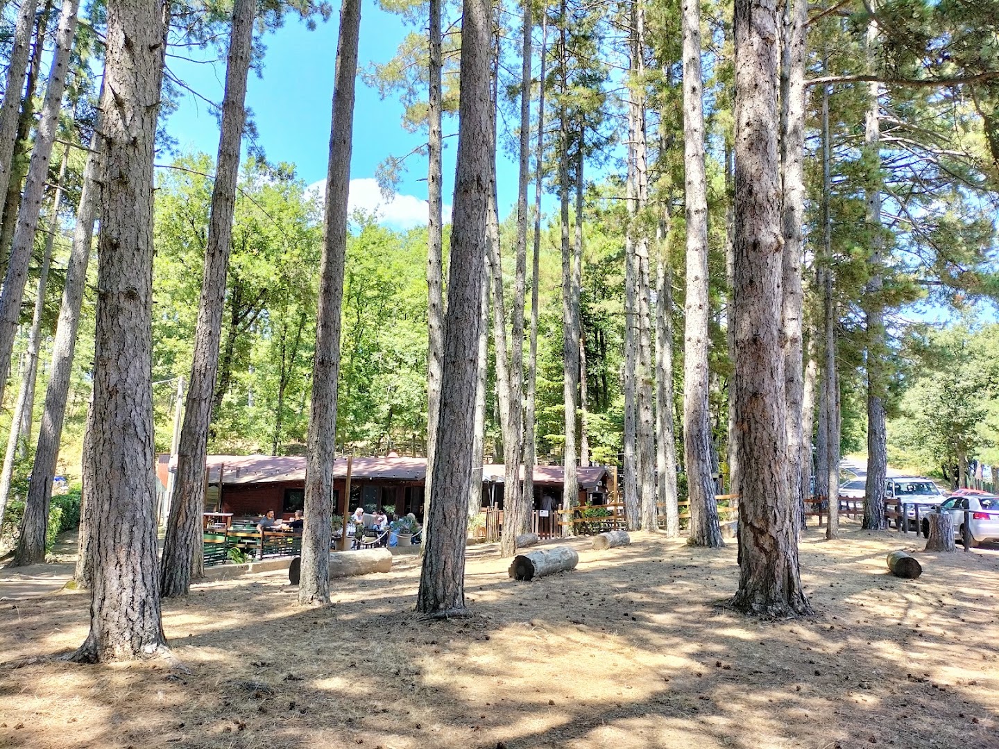 La Pineta - Wild Nest Umbria, Passignano sul Trasimeno