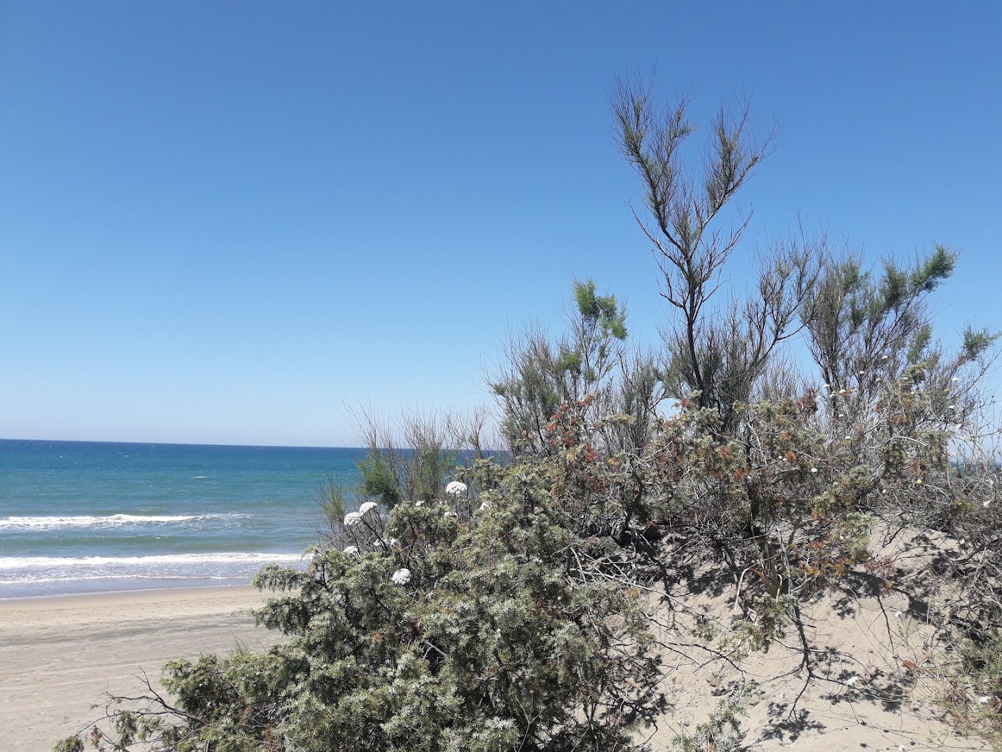 La Playa