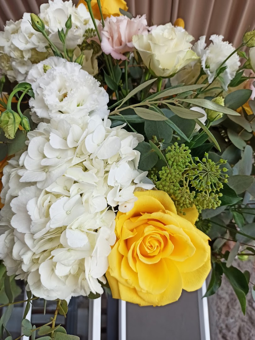 La Primavera
