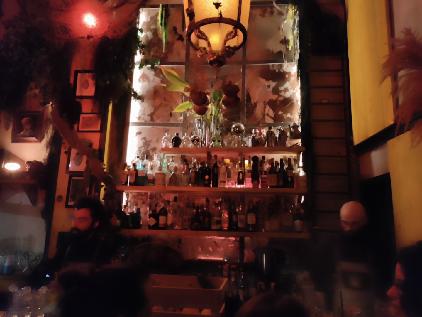 La Rana Gialla - Rainforest Bar - Vomero, Napoli