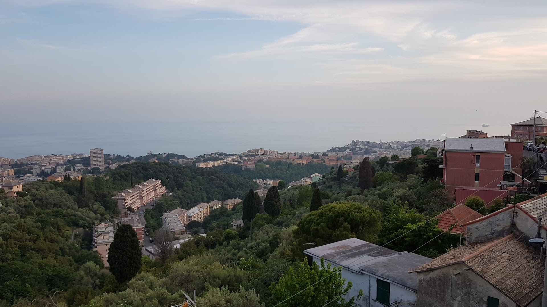 La Rosa di Paisciun, Genova