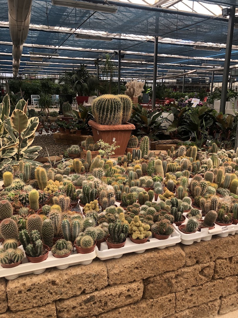 La Serra Fiorita-Garden Center