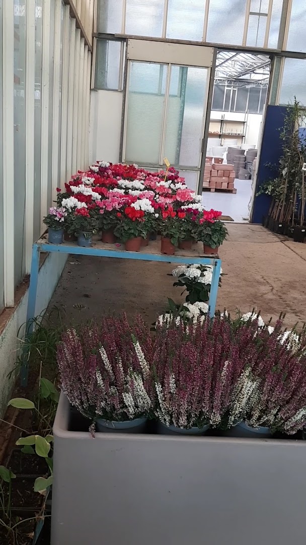 La Serra Fiorita-Garden Center