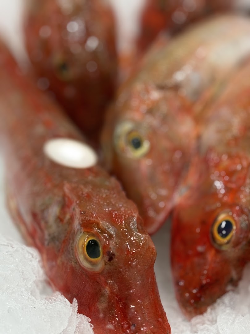 LA SIRENA STORE - FAMA FISH FAST FOOD, Santa Maria Capua Vetere