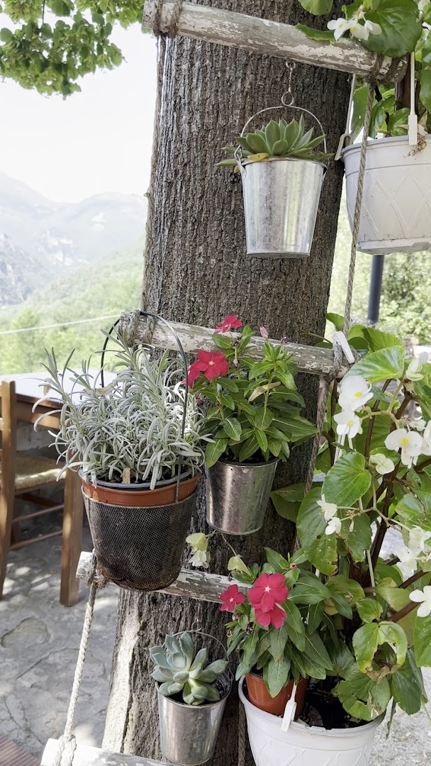 La Taverna Del Bordone