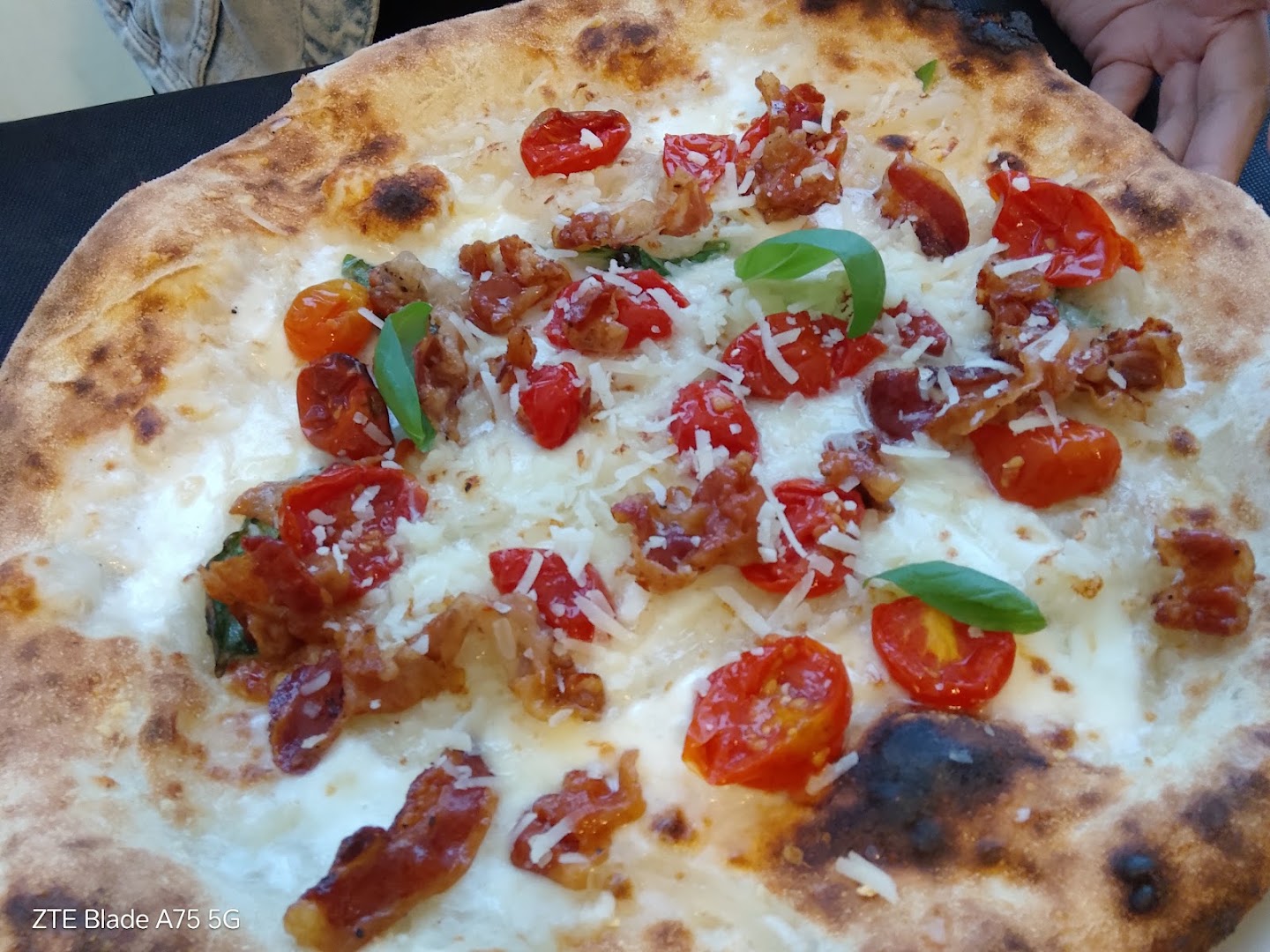 La Taverna di Noè