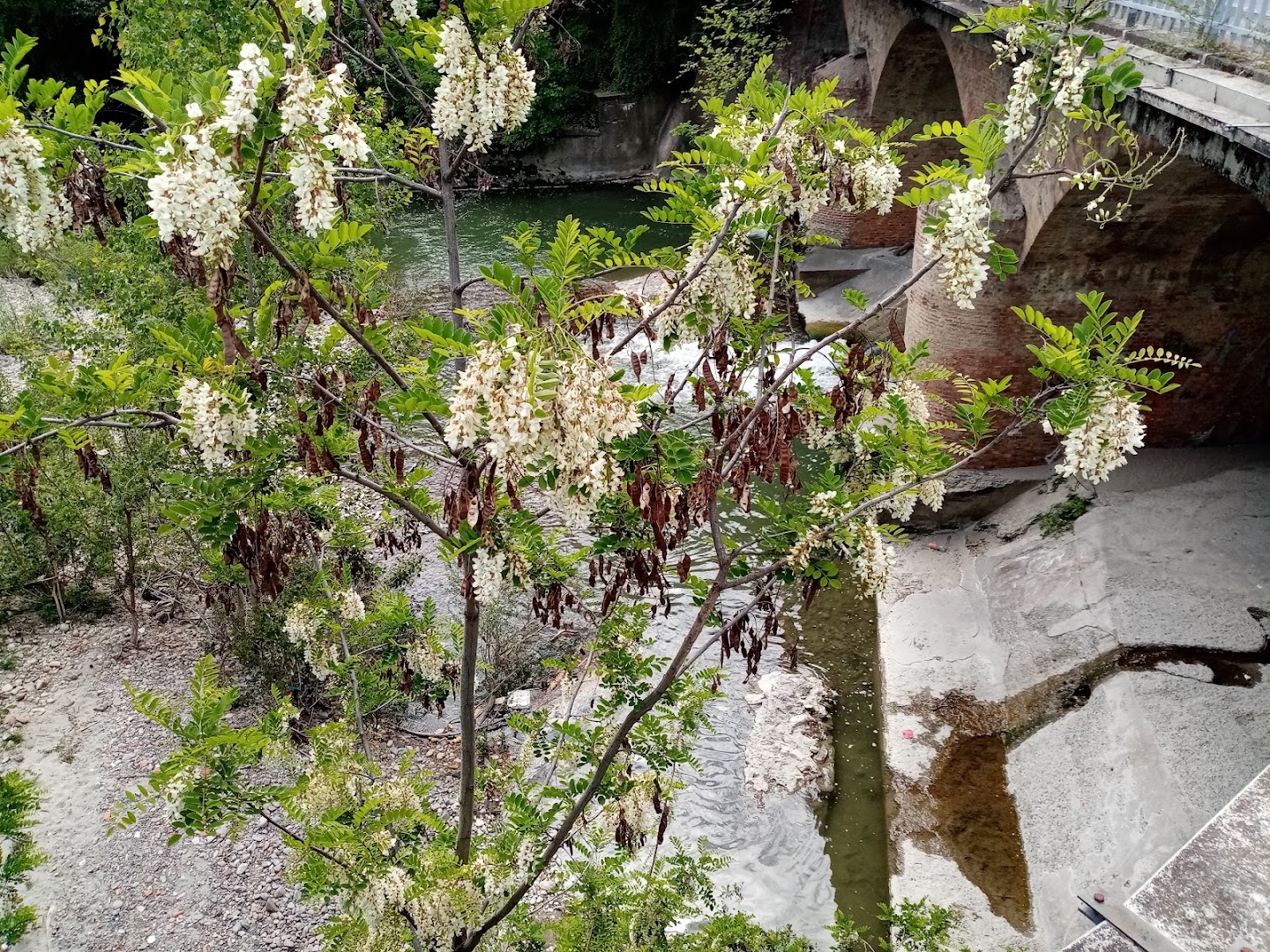 La Terrazza di Ponticella - Centro Sociale culturale ricreativo