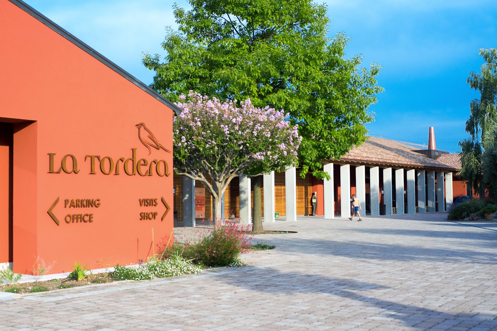 La Tordera, Vidor