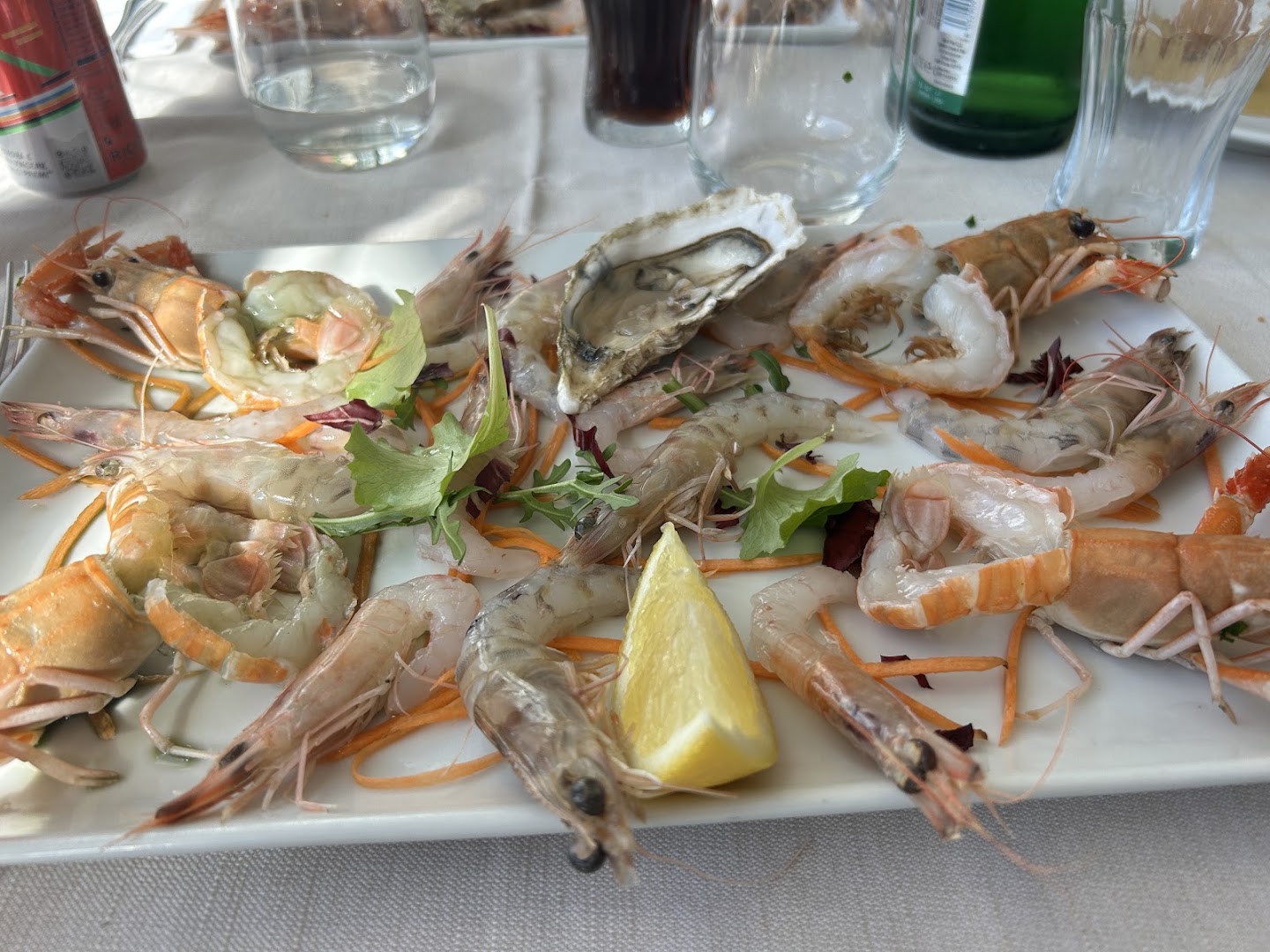 LA TRANQUILLITA' SRL, Fiumicino