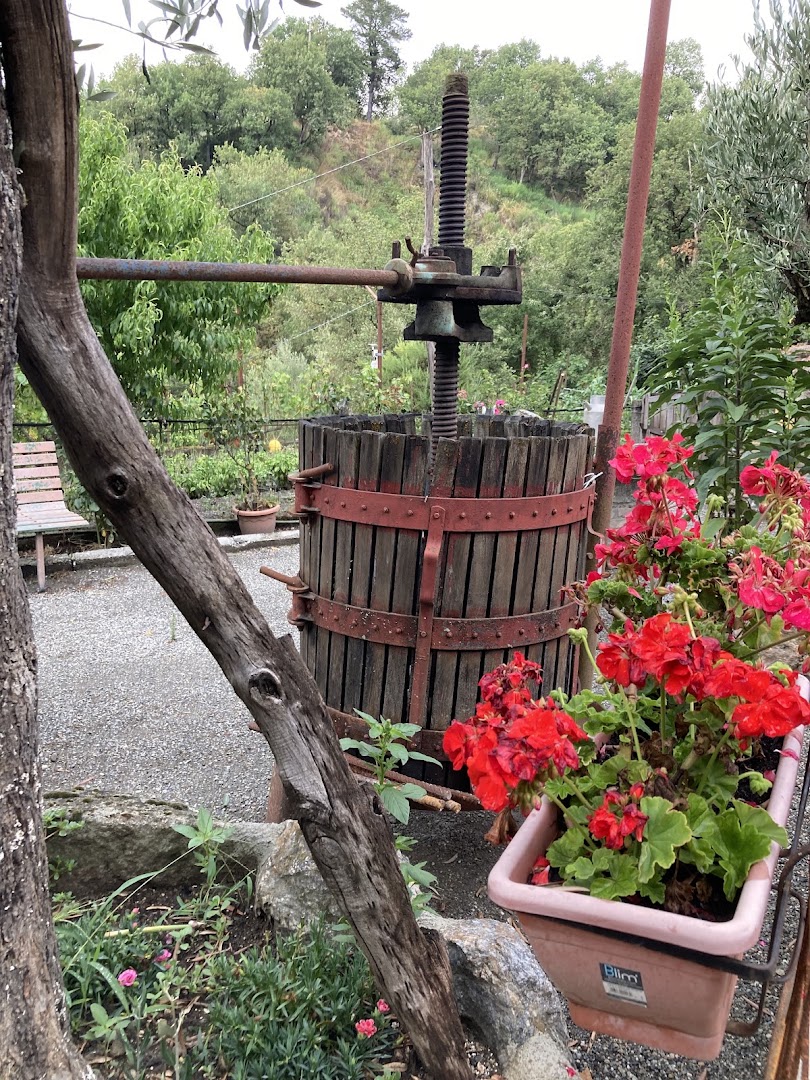 La Valle Dell’Aspide bar ristoro, Gimigliano