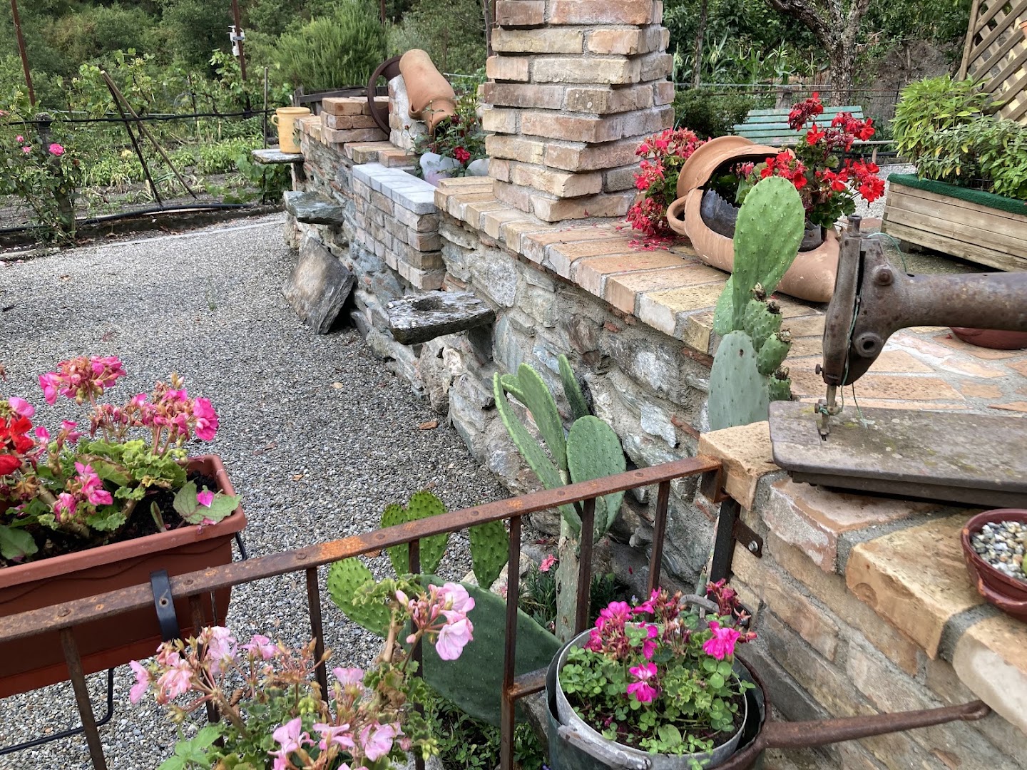 La Valle Dell’Aspide bar ristoro