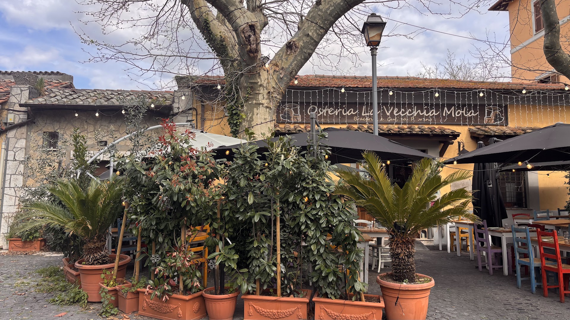 La Vecchia Mola, Roma