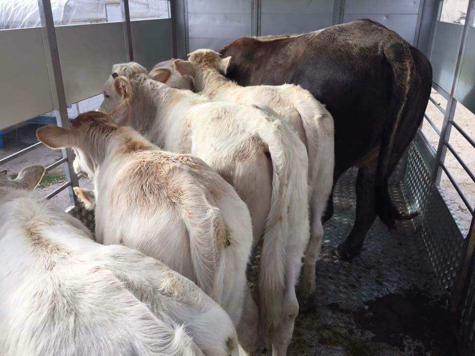 La Vera Carne Paesana