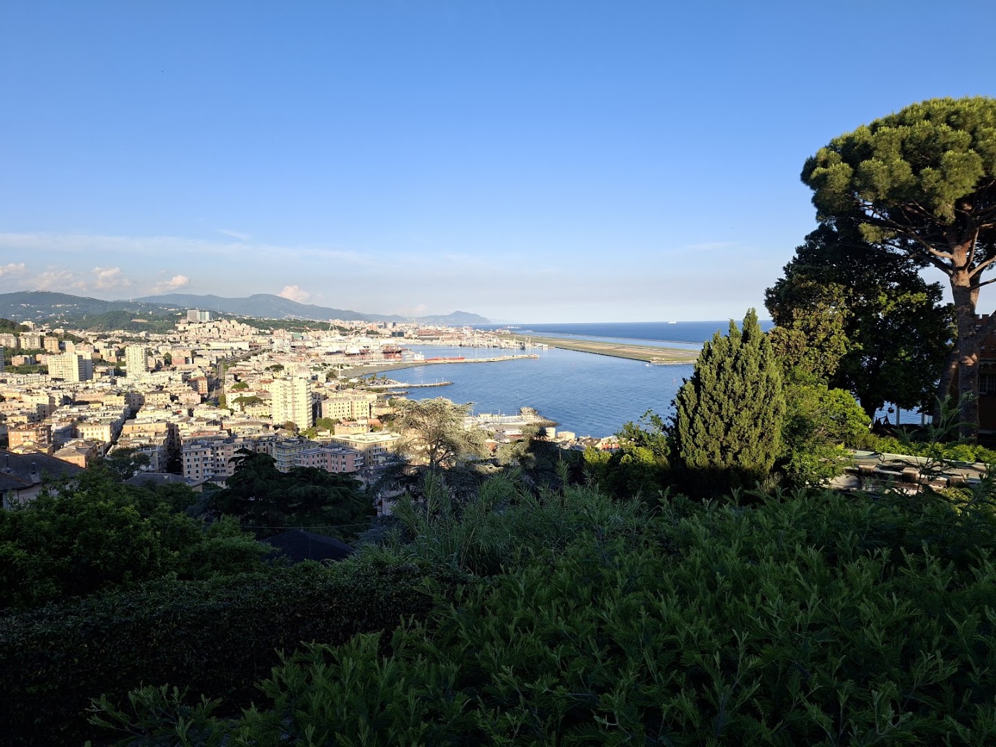 La Vetta, Genova