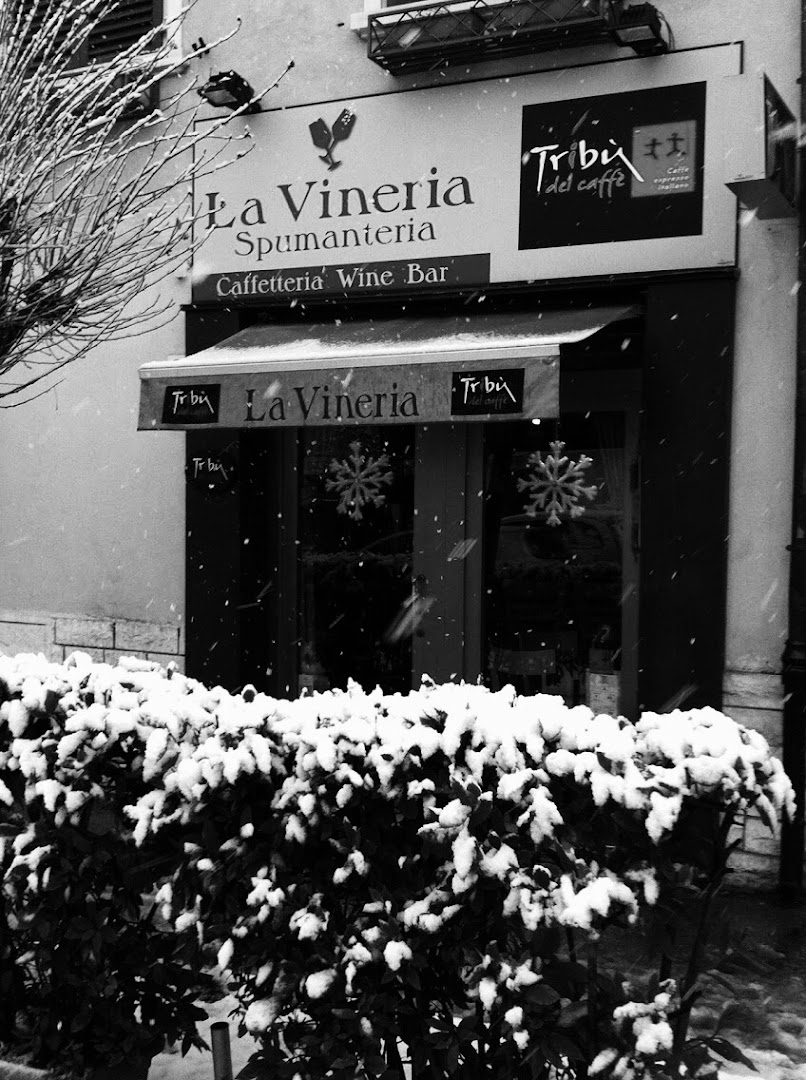 La Vineria - Vineria Viaventi