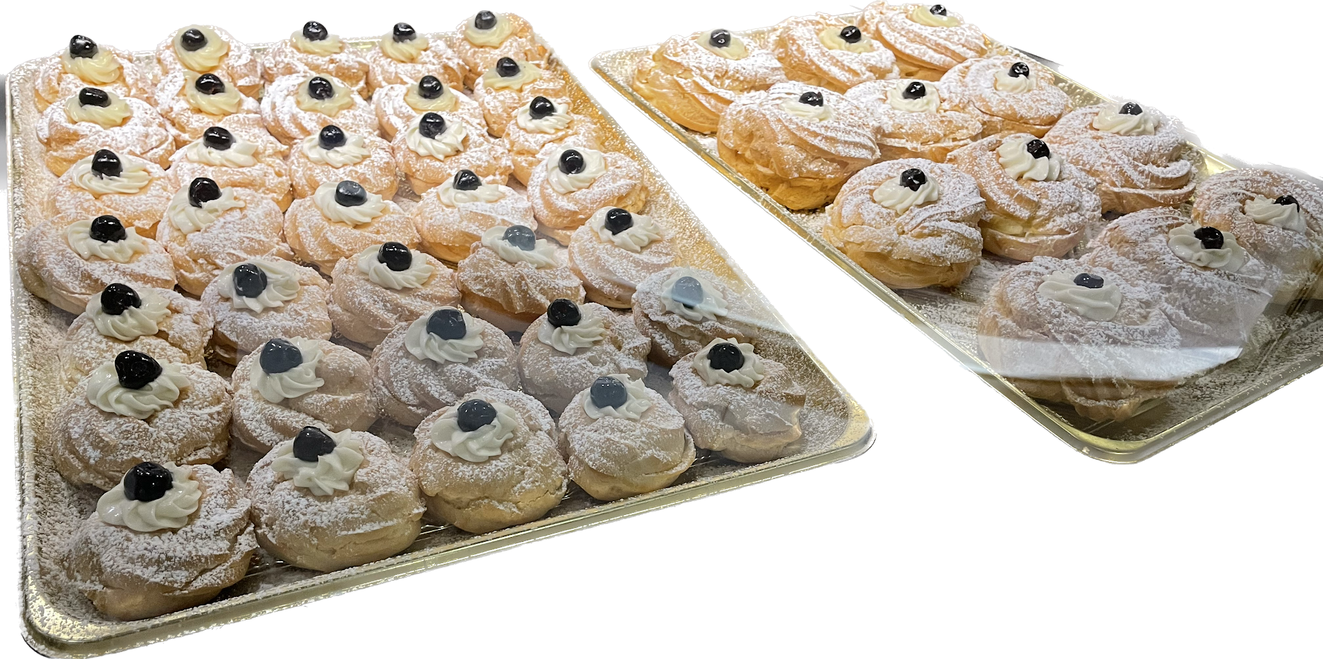 Lady Zeppola