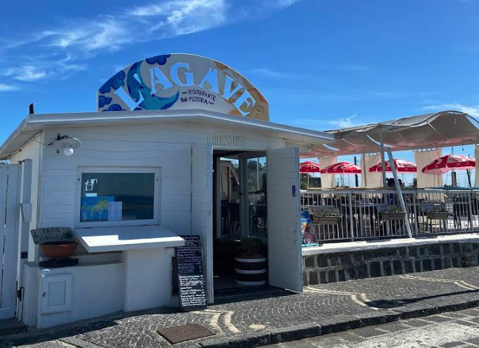 L'Agave