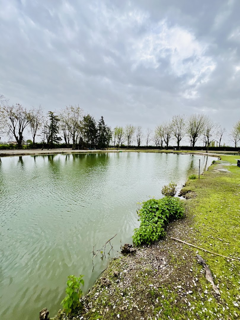 Laghetti Turganti Per Pesca Sportiva