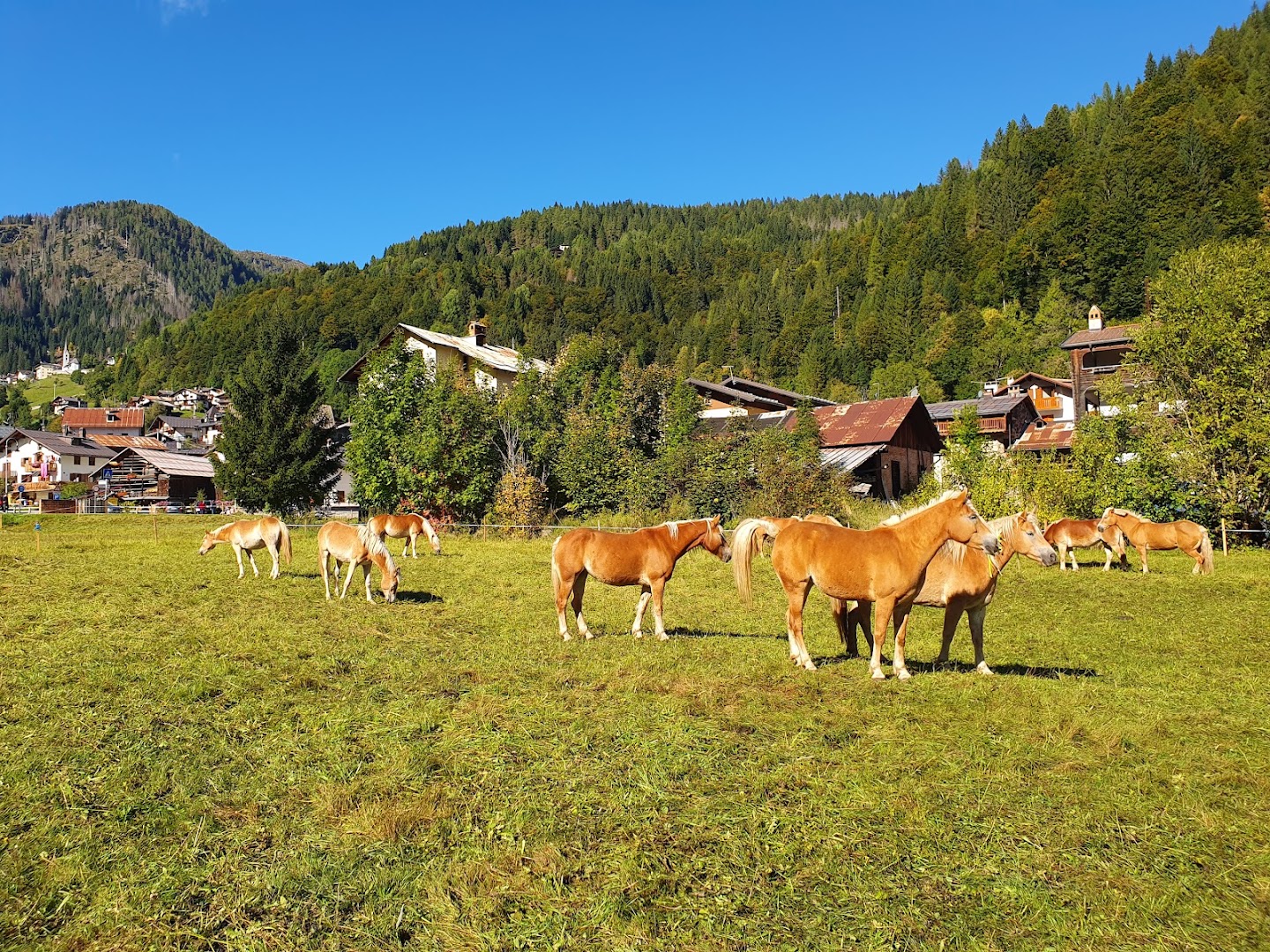 Laghetto Aivaz, Falcade