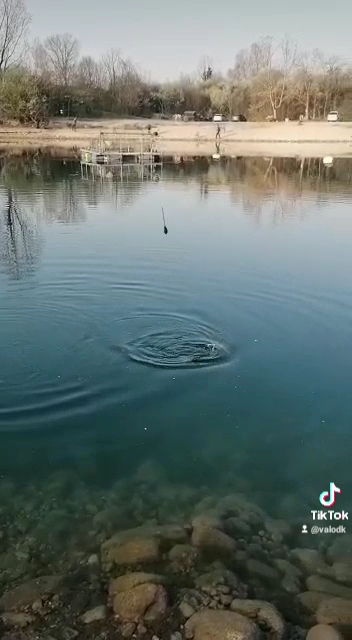 Laghetto Del Cigno