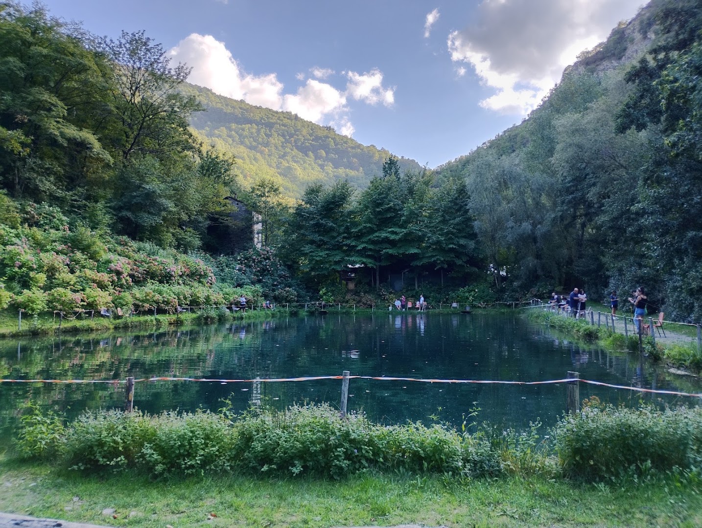 Laghetto del Dardagna azienda agricola