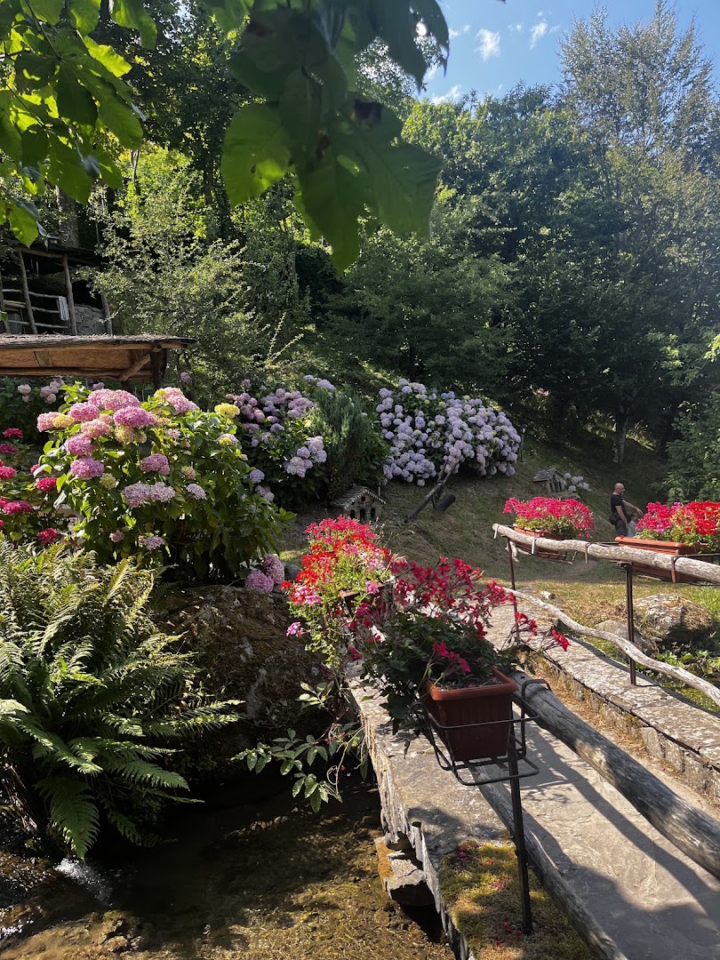 Laghetto del Dardagna azienda agricola