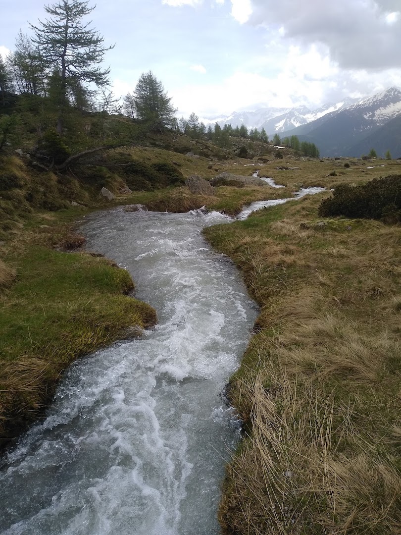 Laghetto Piani del Vioz, Doss dei Cembri