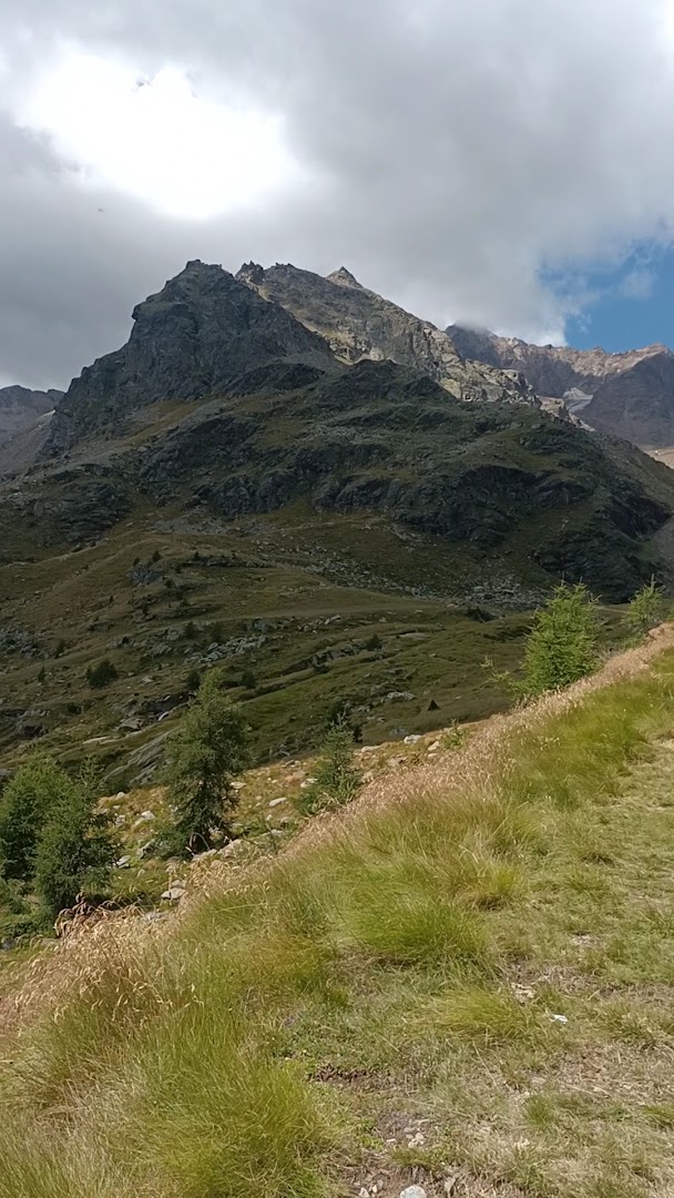 Laghetto Piani del Vioz, Doss dei Cembri
