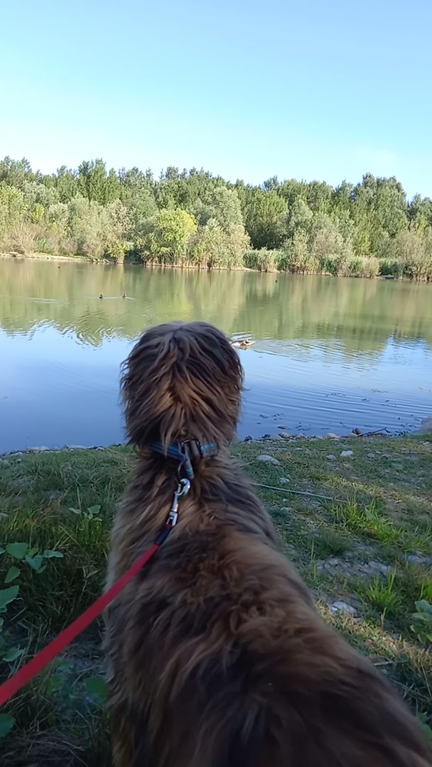 Laghi cronovilla
