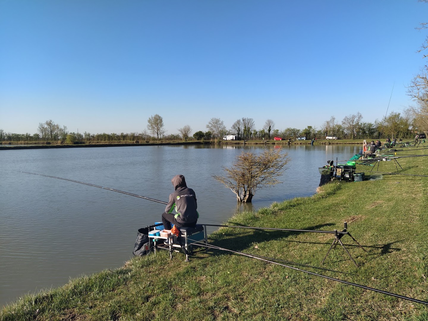 Laghi Dorati - Fossa D'Albero, Ferrara