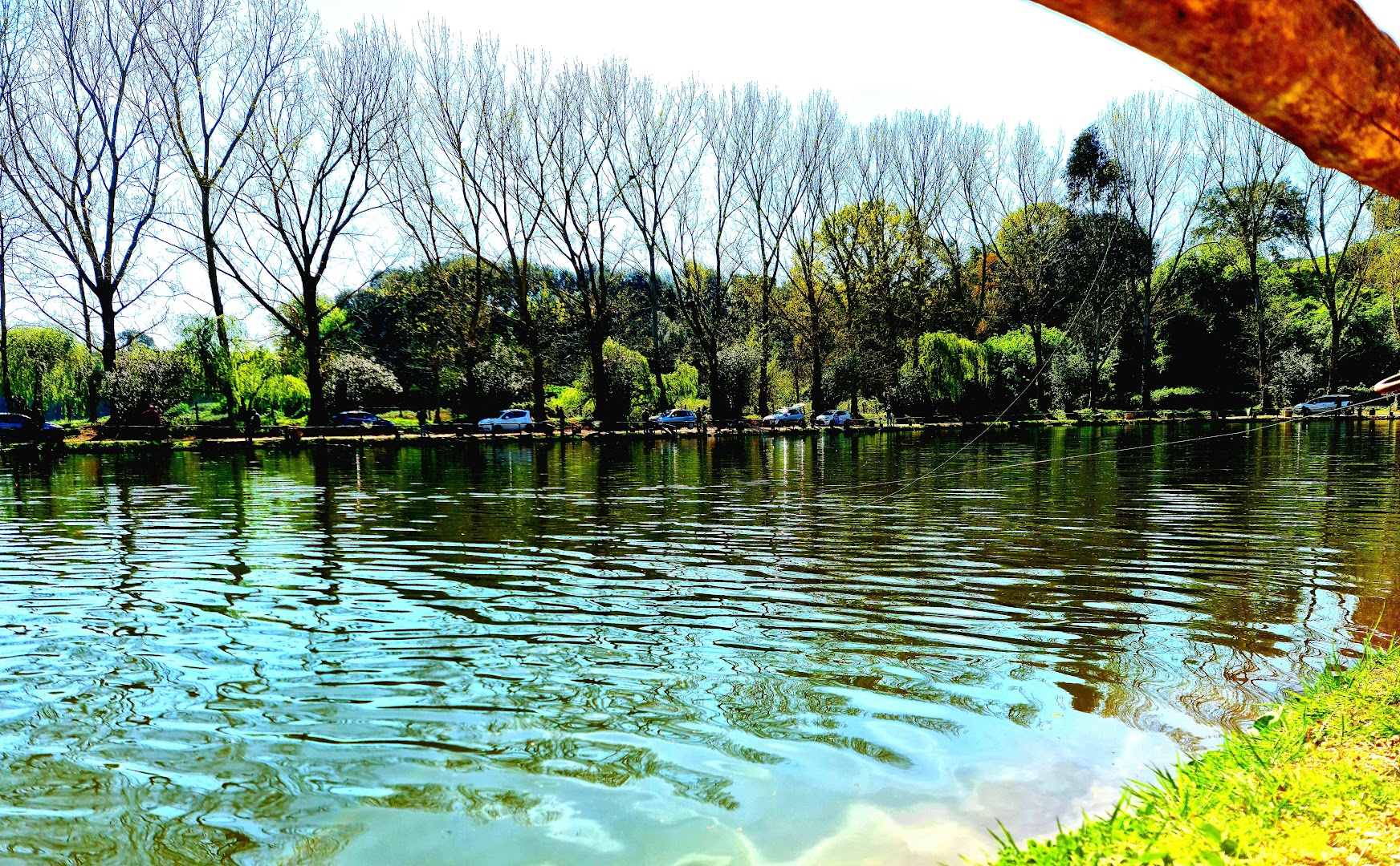 Laghi Trigoria