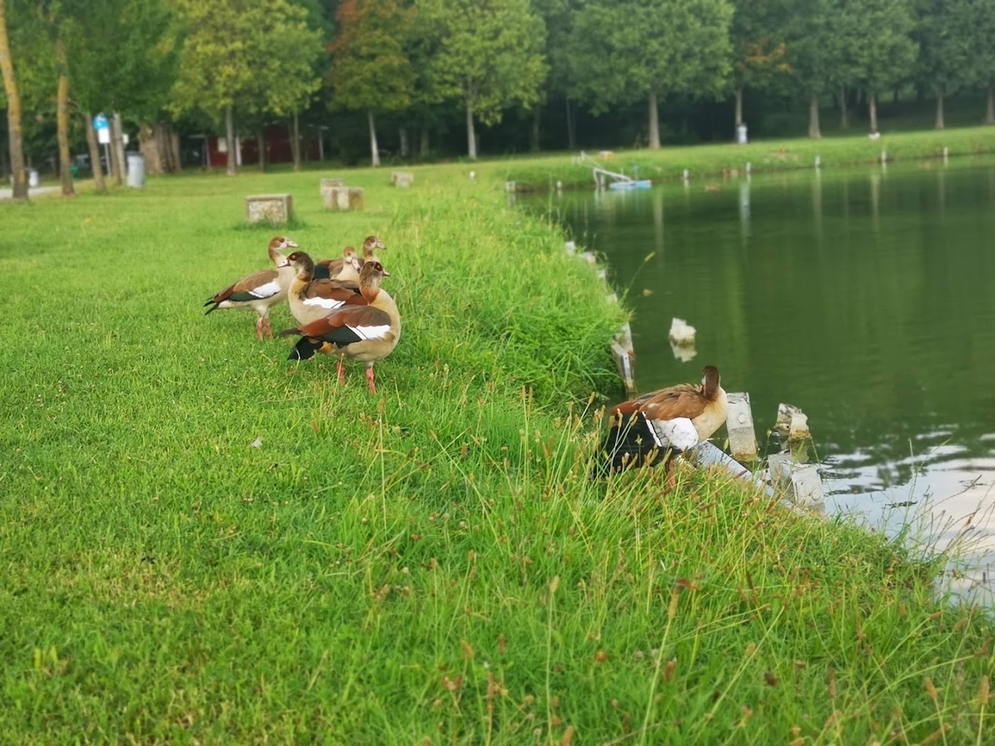 Laghi Vivinatura