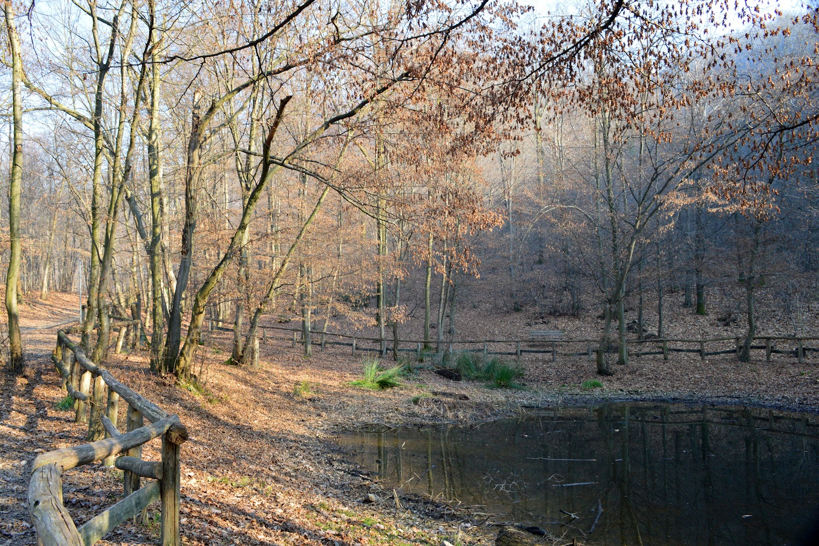 Laghizzolo del Venda, Vo'