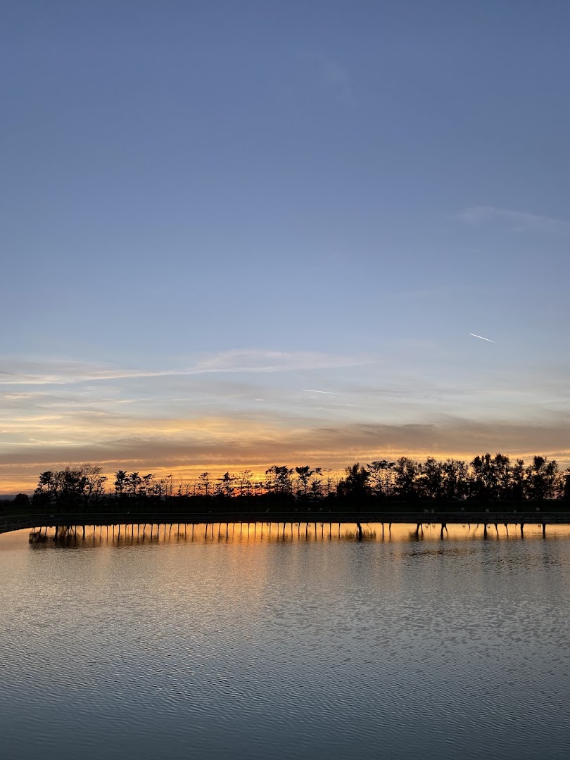 Lago da pesca Valloni Cesenatico