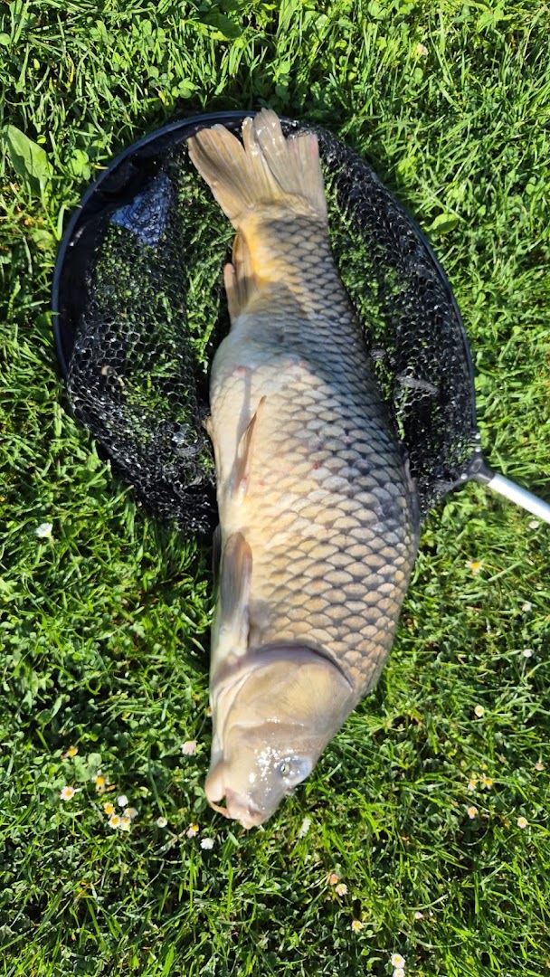 Lago da pesca Valloni Cesenatico