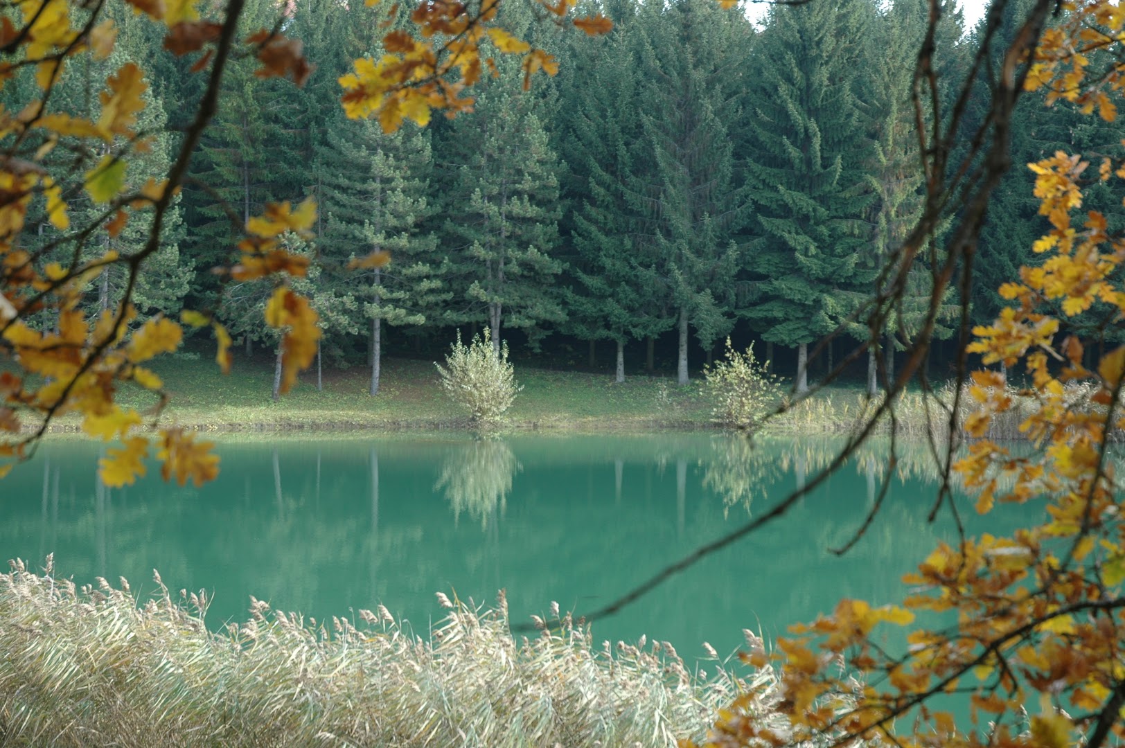 Lago delle Carpe