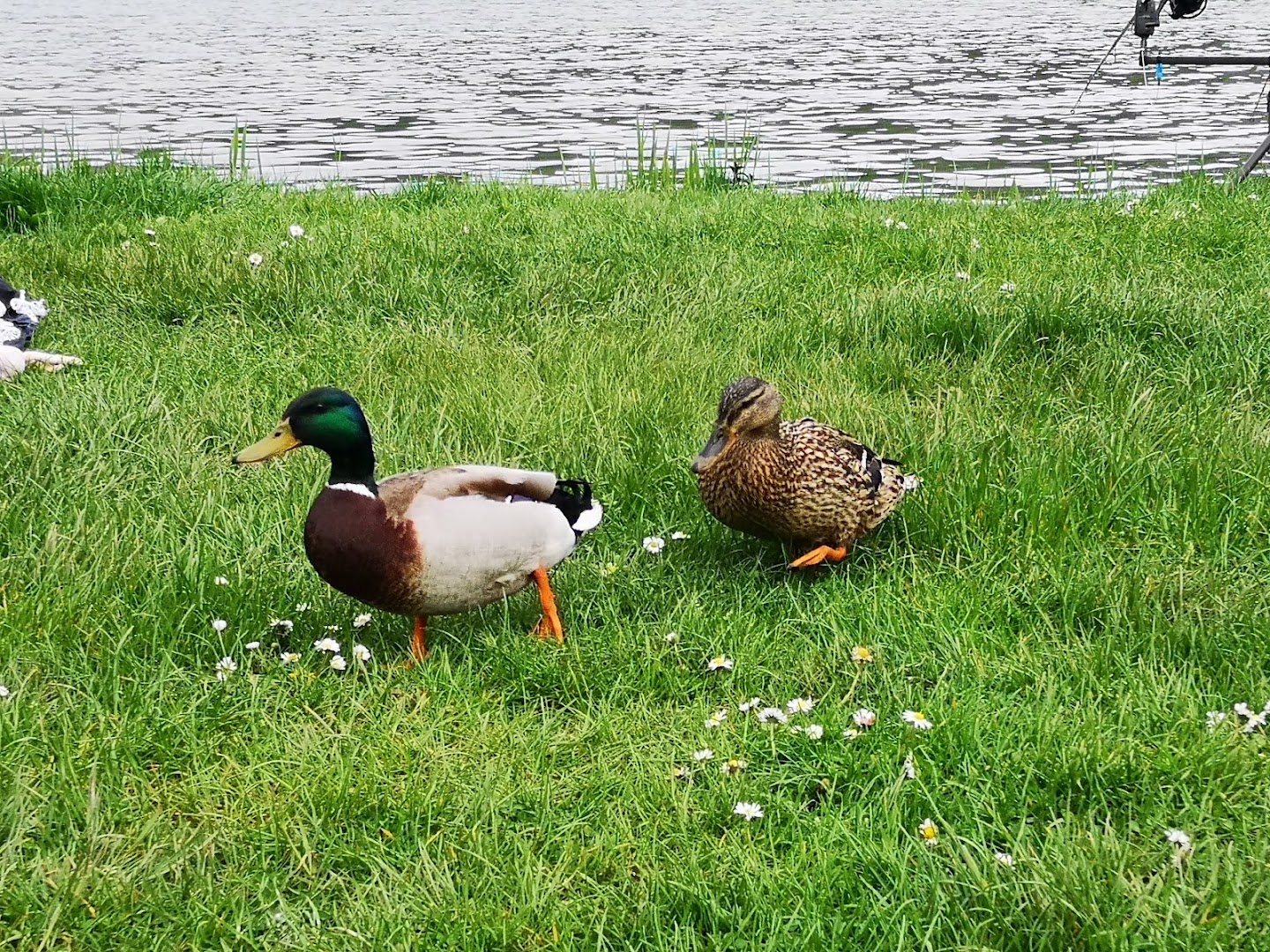 Lago di Acquapartita