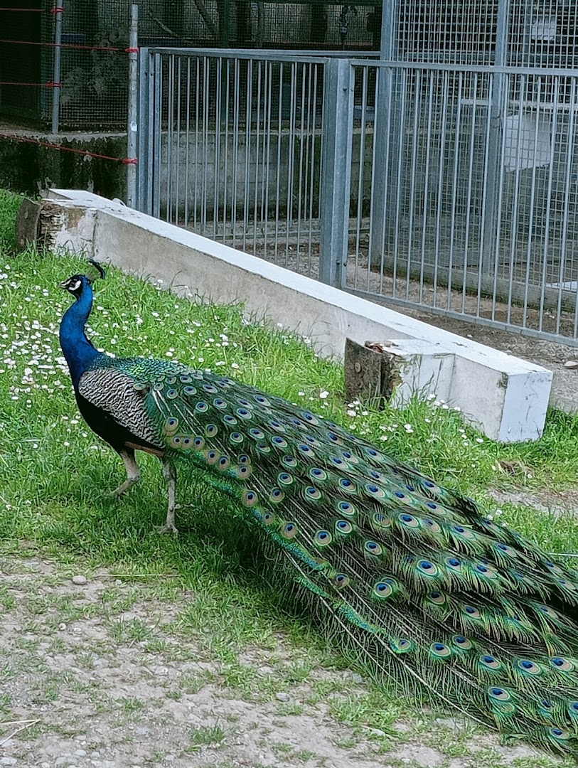 Lago Parco