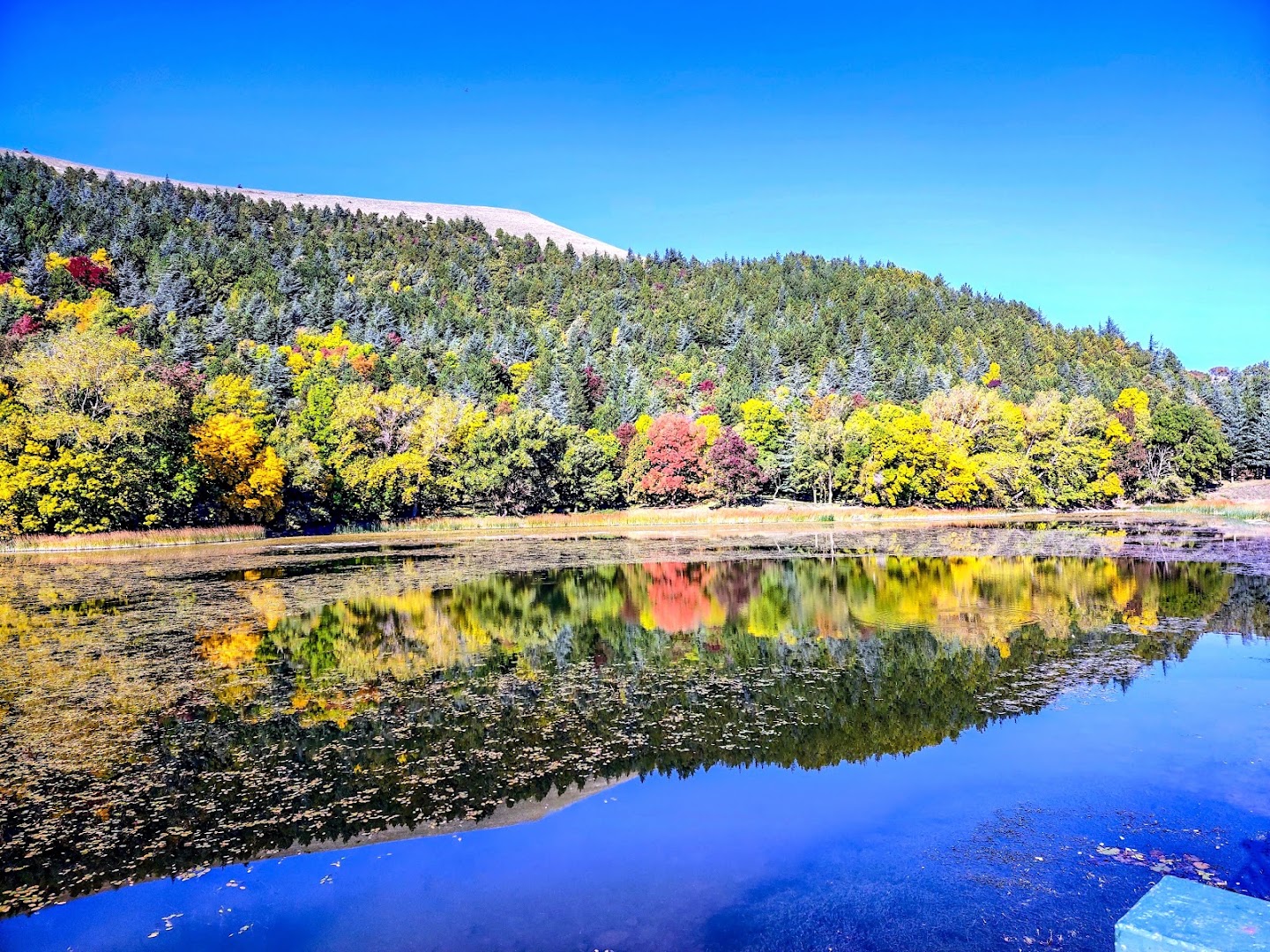Lago Pescara, Biccari