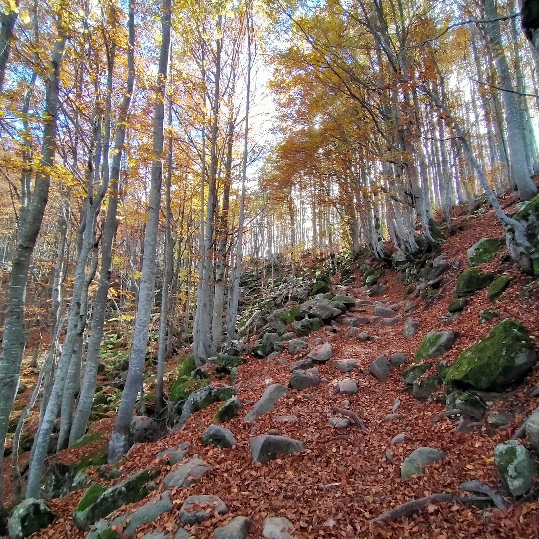 Lago Santo Parmense