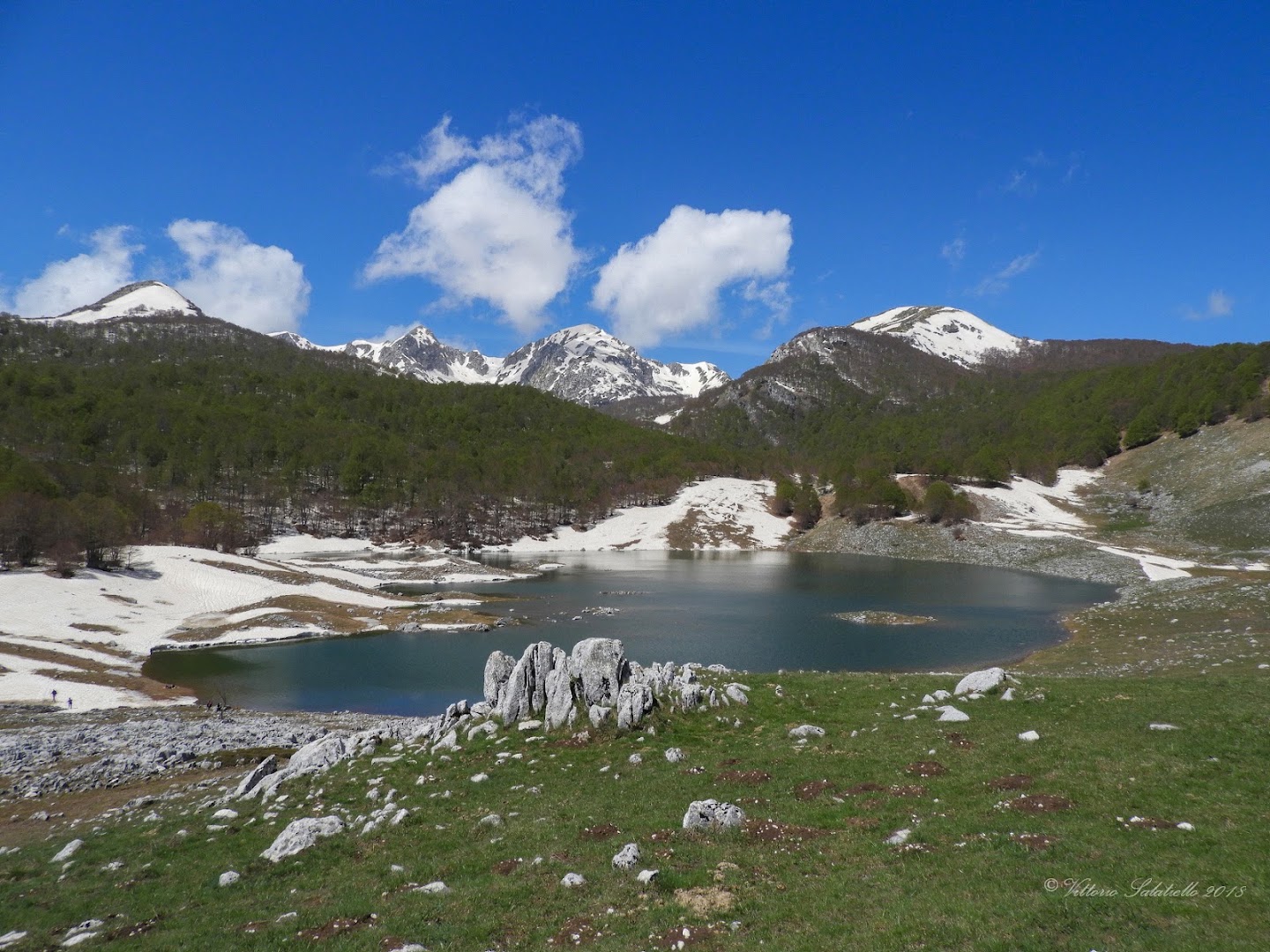 Lago Vivo