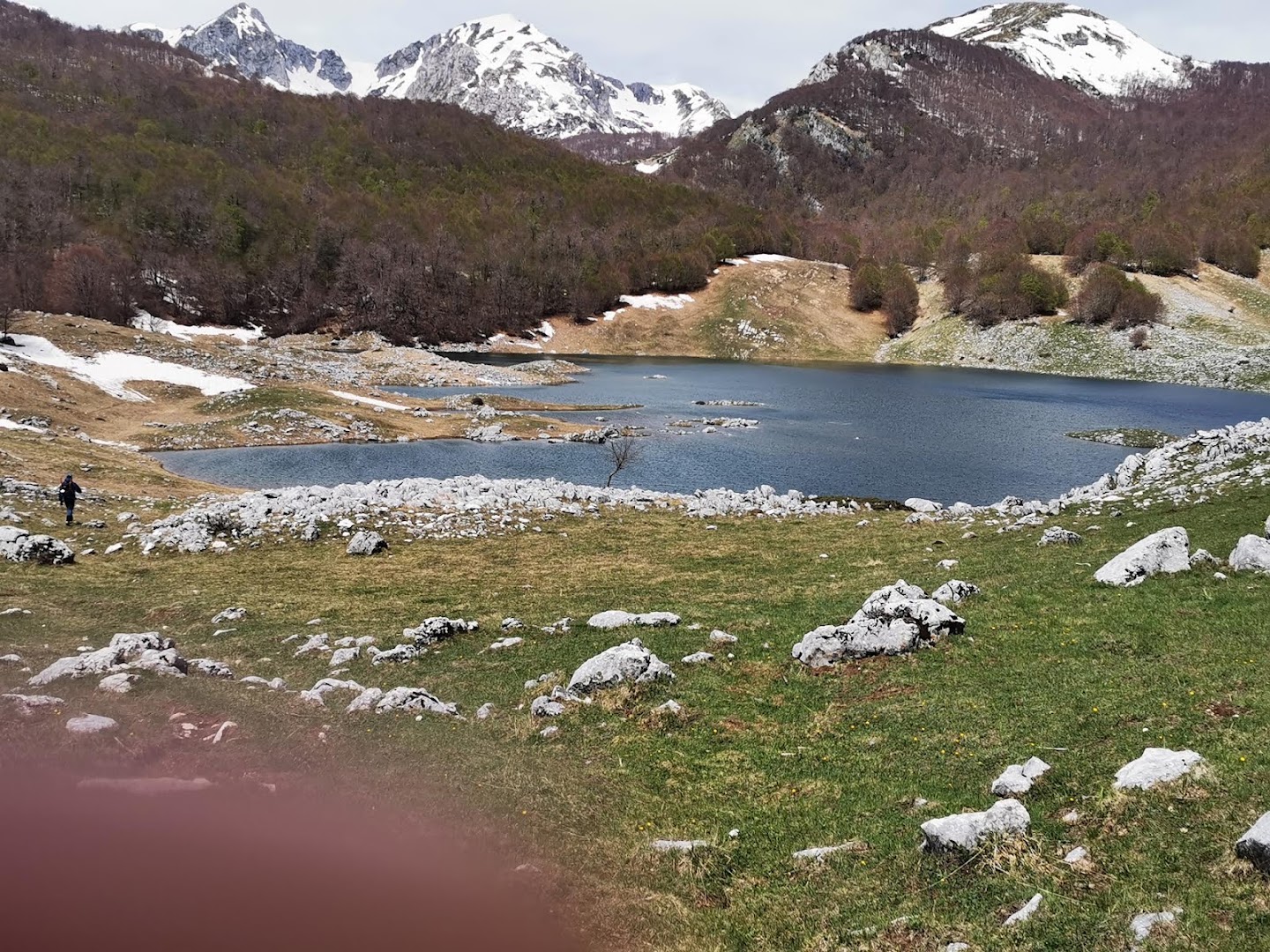 Lago Vivo