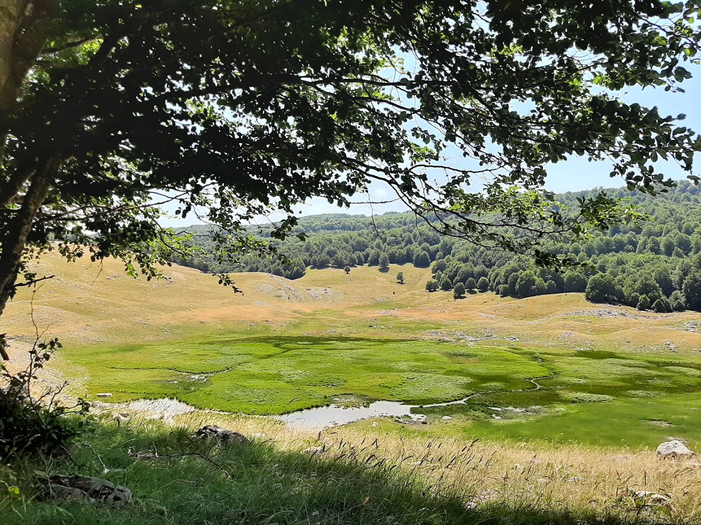 Lago Vivo