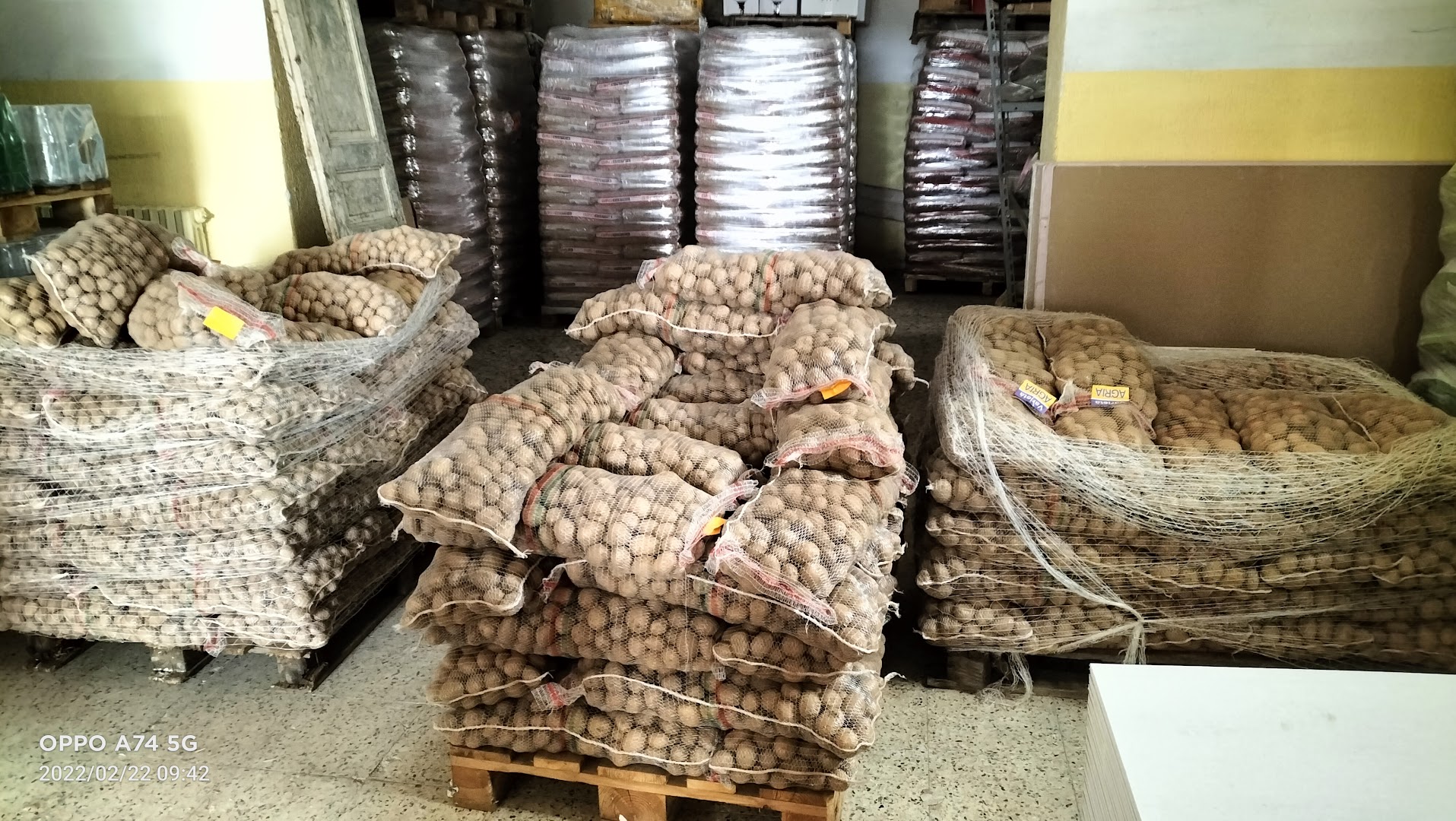L'Agricola Rogliano