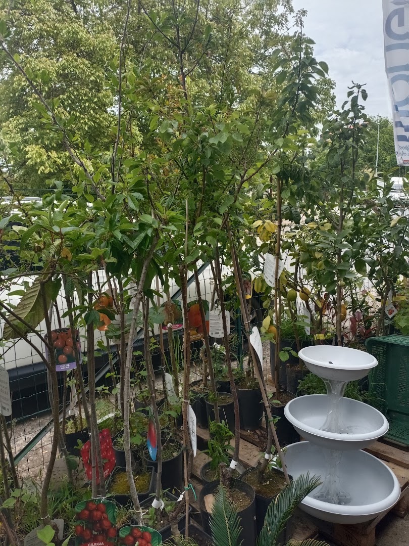 L'Agricola Rogliano