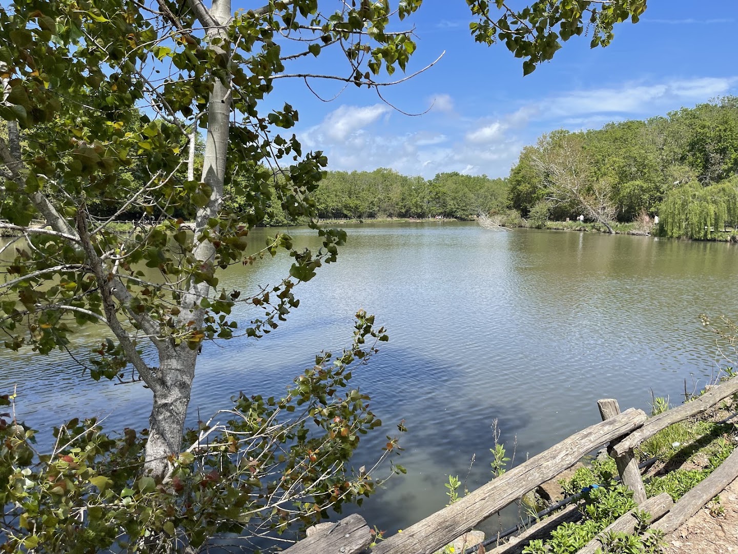 Laguna Village
